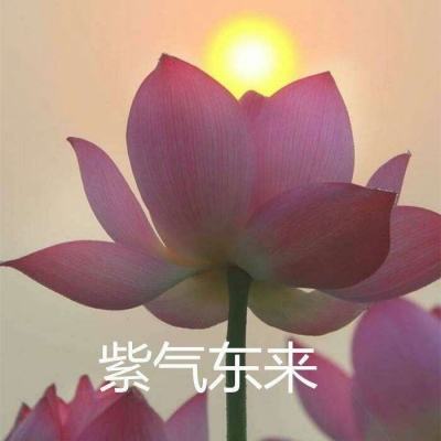 恋爱48天游戏官方版下载